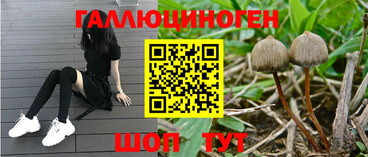 Псилоцибиновые грибы MAGIC MUSHROOMS Нижнекамск